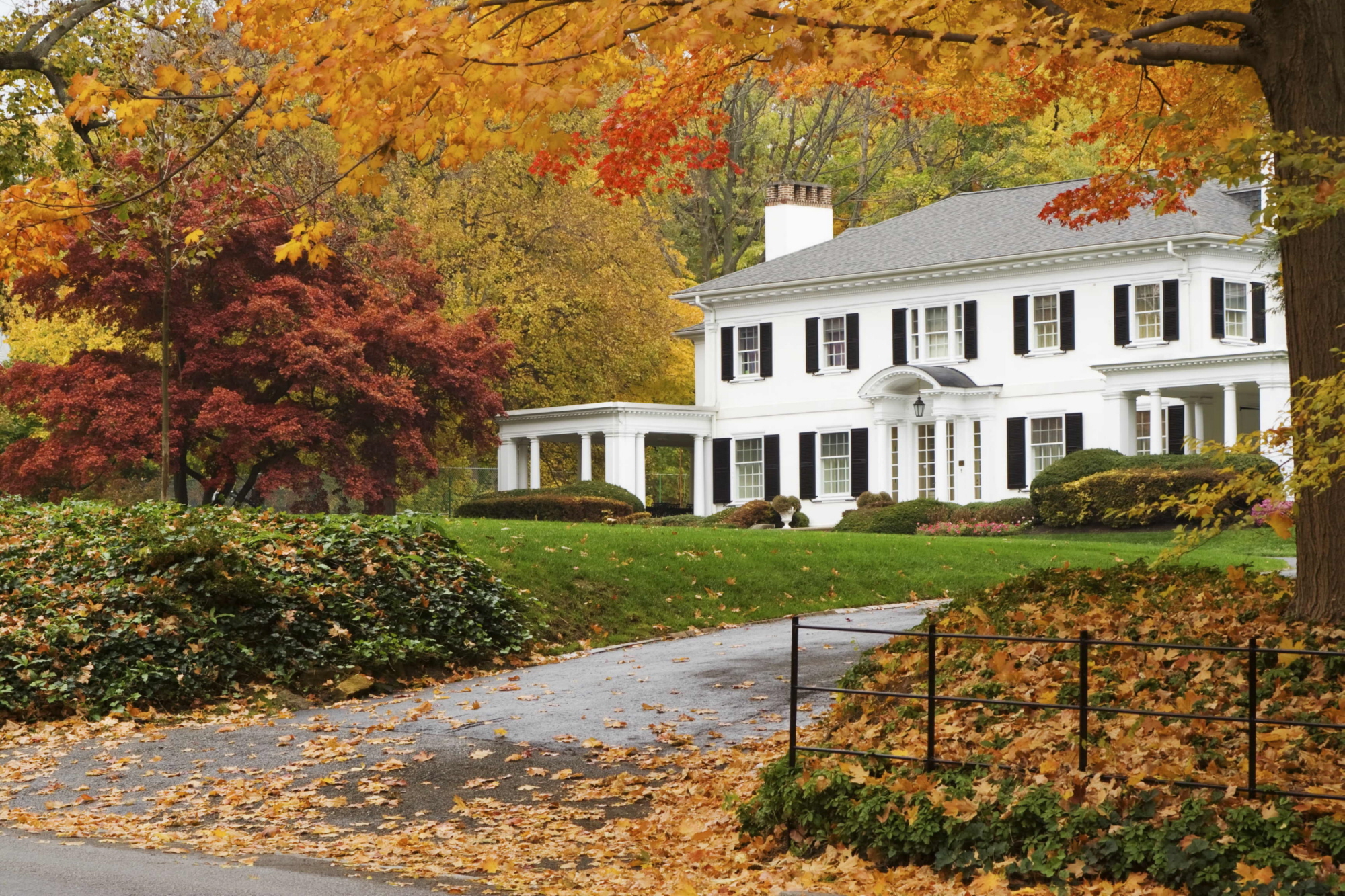 Contemporary Two Story Home in French Country Estates